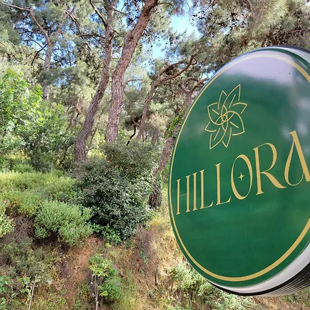Hillora Buyukada *
