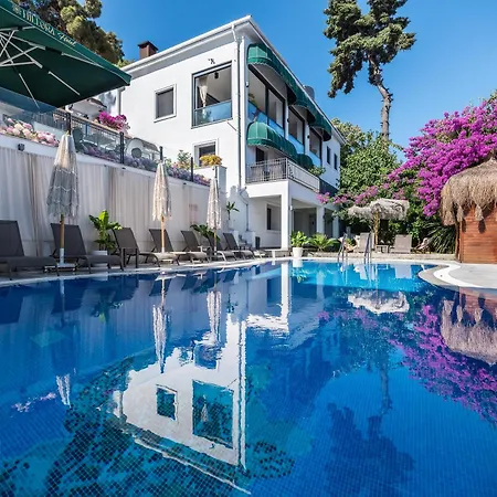 Hillora Buyukada Adalar